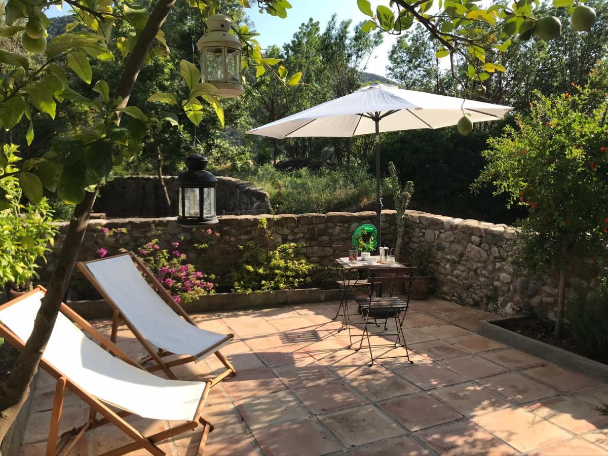 Acojedor Con Jardín En La Garrotxa * Argelaguer