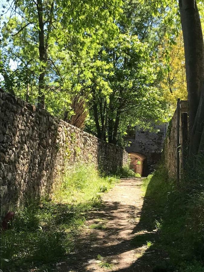 Acojedor Con Jardín En La Garrotxa * Argelaguer