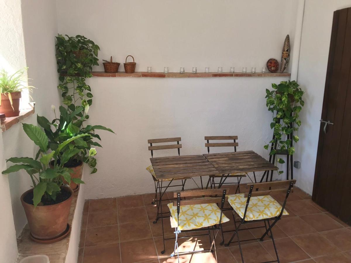 Acojedor Con Jardín En La Garrotxa Apartamento *